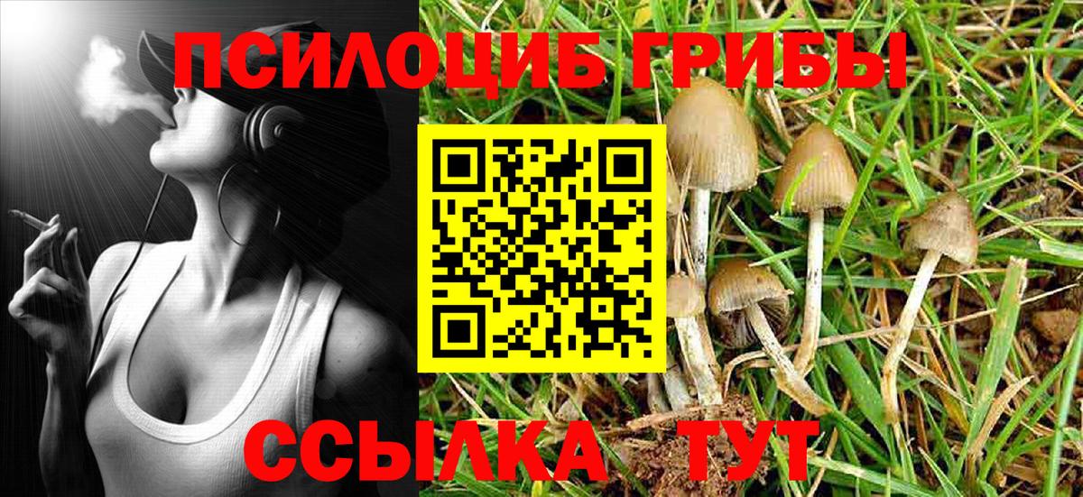 Галлюциногенные грибы мицелий  Галлюциногенные грибы мухоморы  Вход с VPN  Камышин 